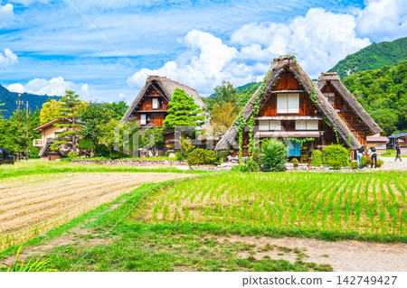 日本原汁原味的風景:秋天的白川鄉 日本原汁原味的風景:秋天的白川鄉 142749427