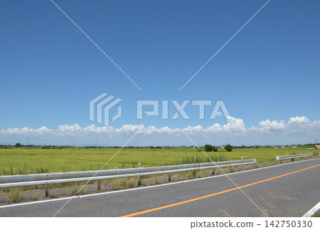 夏日清爽的田園風光 夏日清爽的田園風光 142750330