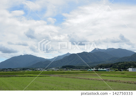 清爽宜人的夏日鄉村和鈴鹿山脈。 清爽宜人的夏日鄉村和鈴鹿山脈。 142750333