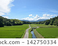Refreshing countryside scenery in summer 142750334