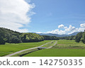 Refreshing countryside scenery in summer 142750335
