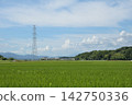 Refreshing countryside scenery in summer 142750336