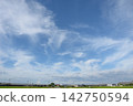 A refreshing blue sky and rural scenery 142750594