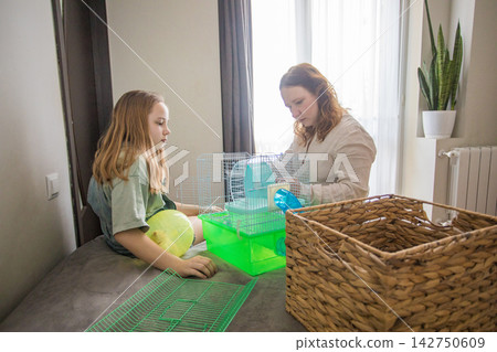 A girl and a woman work together to arrange a green hamster cage on a bed. A girl and a woman work together to arrange a green hamster cage on a bed. 142750609