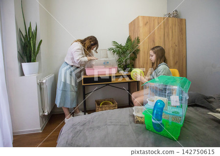 Two people are cleaning a hamster cage. One person is sitting on a bed Two people are cleaning a hamster cage. One person is sitting on a bed 142750615