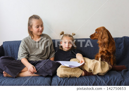Cheerful children playing dog sitting on sofa at home. Kids and red cocker spaniel pet Cheerful children playing dog sitting on sofa at home. Kids and red cocker spaniel pet 142750653