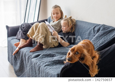 Little girl and boy sitting on blue sofa with dog red cocker spaniel indoors Little girl and boy sitting on blue sofa with dog red cocker spaniel indoors 142750657