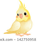 A little golden yellow parrot 142750958