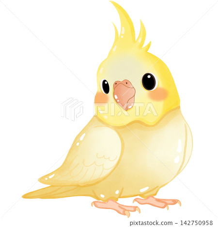 A little golden yellow parrot 142750958