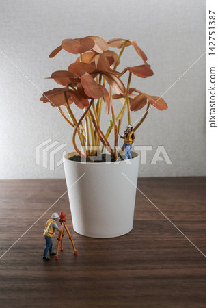 Miniature Surveyor Figures Measuring White Potted Plant Miniature Surveyor Figures Measuring White Potted Plant 142751387