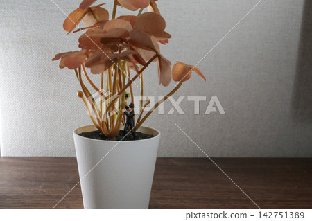 Miniature Lumberjack Figure Chopping Stems In Plant Pot Miniature Lumberjack Figure Chopping Stems In Plant Pot 142751389