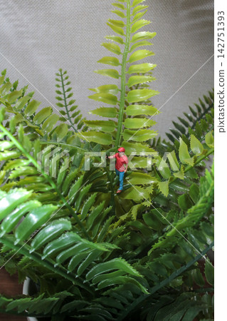 Miniature Man Figure Climbing Inside Artificial Green Fern Miniature Man Figure Climbing Inside Artificial Green Fern 142751393