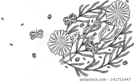 Herb and flower frame for natural cosmetics design. Vector illustration for packaging, advertising, and cosmetics design. Lavender, chamomile, aloe, cosmetics, cream, toner, mask, vector, line art Herb and flower frame for natural cosmetics design. Vector illustration for packaging, advertising, and cosmetics design. Lavender, chamomile, aloe, cosmetics, cream, toner, mask, vector, line art 142751447