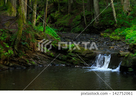 Lush forest scenery with a small waterfall cascading into a dark pool Lush forest scenery with a small waterfall cascading into a dark pool 142752061