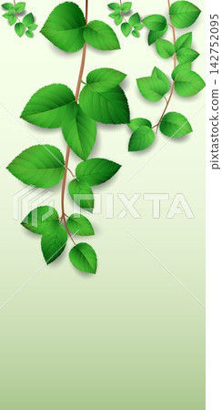 Green leaves and branches forming a natural border on a light gradient background Green leaves and branches forming a natural border on a light gradient background 142752095