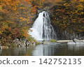 Waterfall surrounded by autumn leaves 142752135