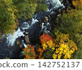 Waterfall surrounded by autumn leaves 142752137