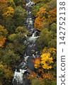 Waterfall which turns into autumn leaves 142752138