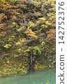 Waterfall which turns into autumn leaves 142752376
