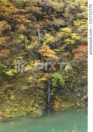 Waterfall which turns into autumn leaves Waterfall which turns into autumn leaves 142752376