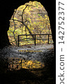 Autumn valley seen through a tunnel 142752377