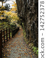 Autumn dreaming canyon 142752378