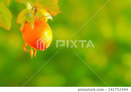 Fruitful autumn Fruitful autumn 142752494