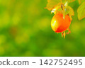 Fruitful autumn 142752495