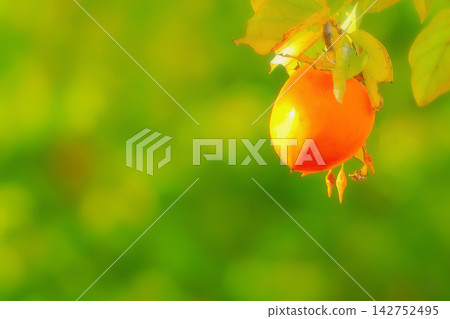 Fruitful autumn Fruitful autumn 142752495