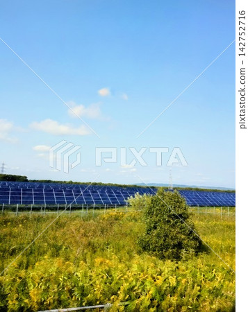 自然保育與發展議題:釧路濕地附近的太陽能發電設施 自然保育與發展議題:釧路濕地附近的太陽能發電設施 142752716