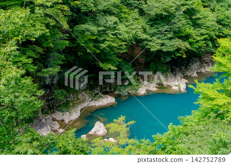秋田縣仙北市大返峽的清新綠意和清澈湛藍的河水:峽谷美麗的自然景觀。 秋田縣仙北市大返峽的清新綠意和清澈湛藍的河水:峽谷美麗的自然景觀。 142752789