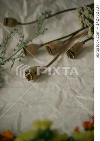 Dry poppy seed pods and botanical herbs on crumpled paper background Dry poppy seed pods and botanical herbs on crumpled paper background 142752837