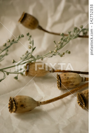 Dry poppy seed pods and wormwood branch on crumpled craft paper background Dry poppy seed pods and wormwood branch on crumpled craft paper background 142752838