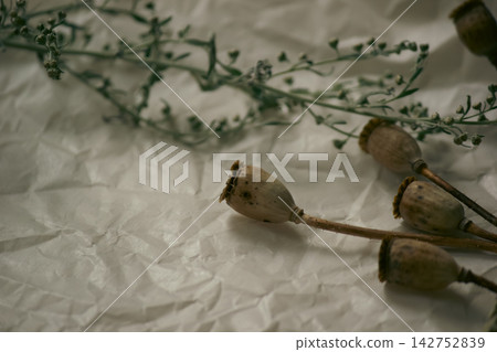 Dry poppy seed pods and wormwood branch on crumpled paper background Dry poppy seed pods and wormwood branch on crumpled paper background 142752839
