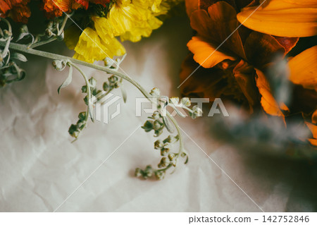 Macro shot of fresh marigold and statice flowers with wormwood sprig Macro shot of fresh marigold and statice flowers with wormwood sprig 142752846