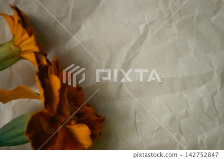 Orange marigold flowers on crumpled parchment paper background with copy space Orange marigold flowers on crumpled parchment paper background with copy space 142752847