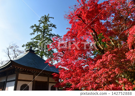 永源寺被秋葉包圍 永源寺被秋葉包圍 142752888