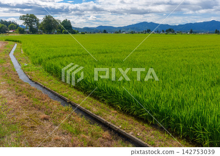 秋田縣的稻田和灌溉渠道:支持水稻種植的農業工程和鄉村景觀。 秋田縣的稻田和灌溉渠道:支持水稻種植的農業工程和鄉村景觀。 142753039