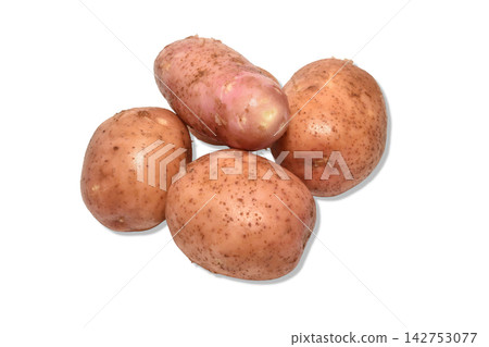 A few pink-skinned new potatoes. A few pink-skinned new potatoes. 142753077