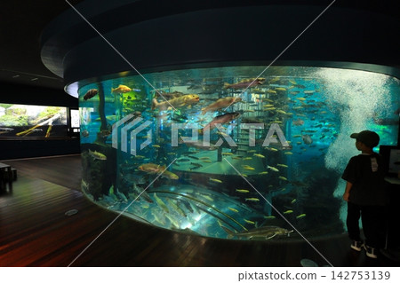 山梨縣富士泉水村水族館:“森林中的水族館” 山梨縣富士泉水村水族館:“森林中的水族館” 142753139