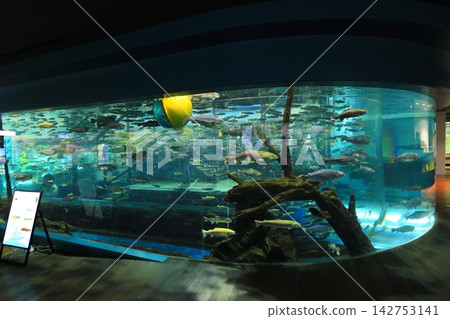 山梨縣富士泉水村水族館:“森林中的水族館” 山梨縣富士泉水村水族館:“森林中的水族館” 142753141