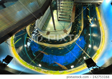 山梨縣富士泉水村水族館:“森林中的水族館” 山梨縣富士泉水村水族館:“森林中的水族館” 142753168