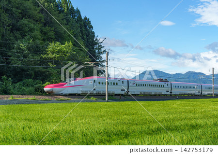 秋田新幹線小町號列車飛馳穿過秋田縣的稻田，營造出綠油油的田野與鐵軌交相輝映的美麗景色。 142753179