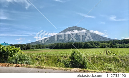 羊蹄山 羊蹄山 142753490