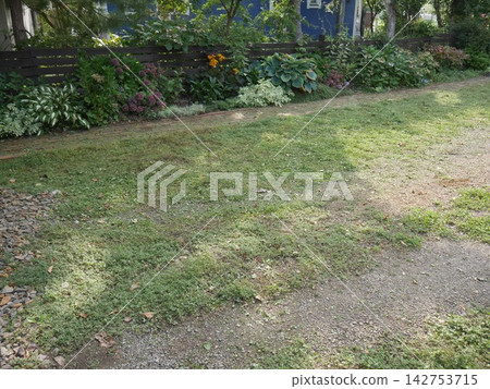 A spacious garden planted with various plants. A spacious garden planted with various plants. 142753715