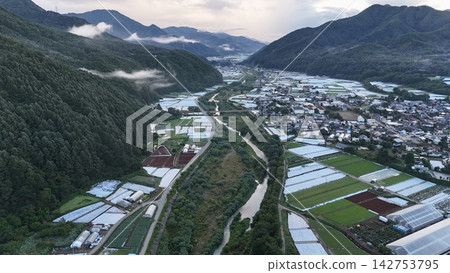 清晨，無人機空拍鏡頭捕捉了川上村的千曲河和萵苣田（長野縣南作郡）。 142753795