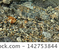 The beautiful flow of a clear stream 142753844
