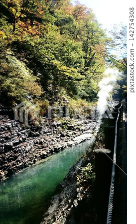 小安峽間歇泉：升騰的蒸氣和翠綠的溪流，秋田縣 142754308