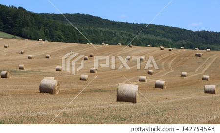 Harvested agricultural field dotted with round hay bales across rolling countryside Harvested agricultural field dotted with round hay bales across rolling countryside 142754543