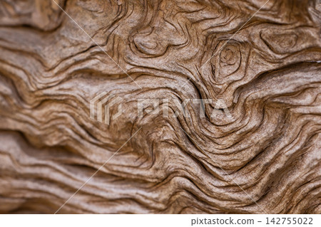 old timber texture close up old timber texture close up 142755022